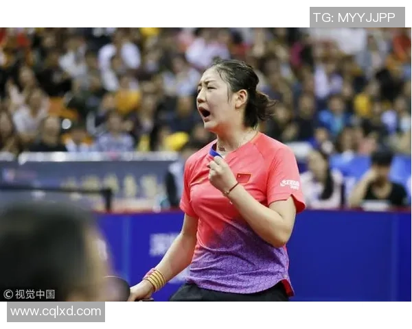 北京排球队强势领跑冠军赛积分榜73分稳居第一