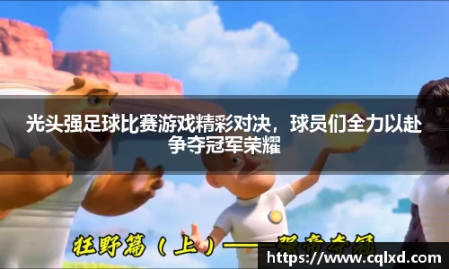 米兰体育官网