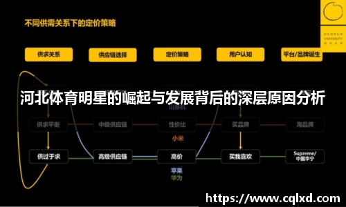 河北体育明星的崛起与发展背后的深层原因分析